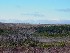 Dolly Sods